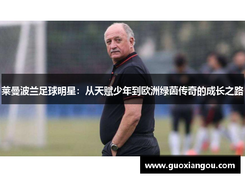 莱曼波兰足球明星：从天赋少年到欧洲绿茵传奇的成长之路