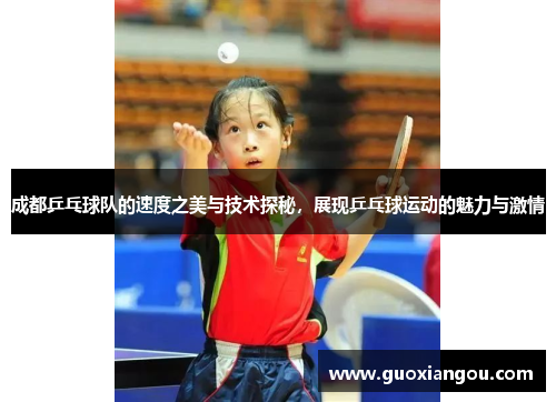 成都乒乓球队的速度之美与技术探秘，展现乒乓球运动的魅力与激情