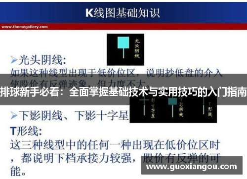 排球新手必看：全面掌握基础技术与实用技巧的入门指南
